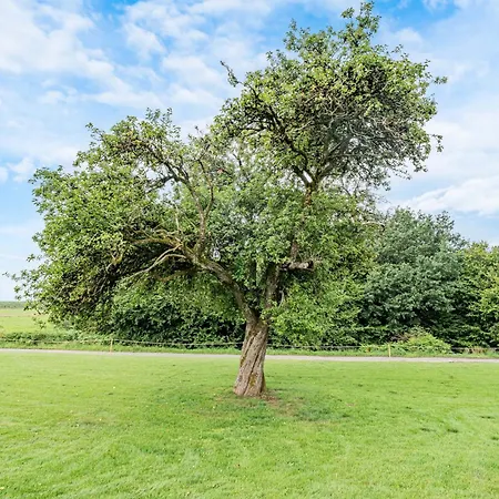 Willa Maison Madart Surround Yourself In Nature